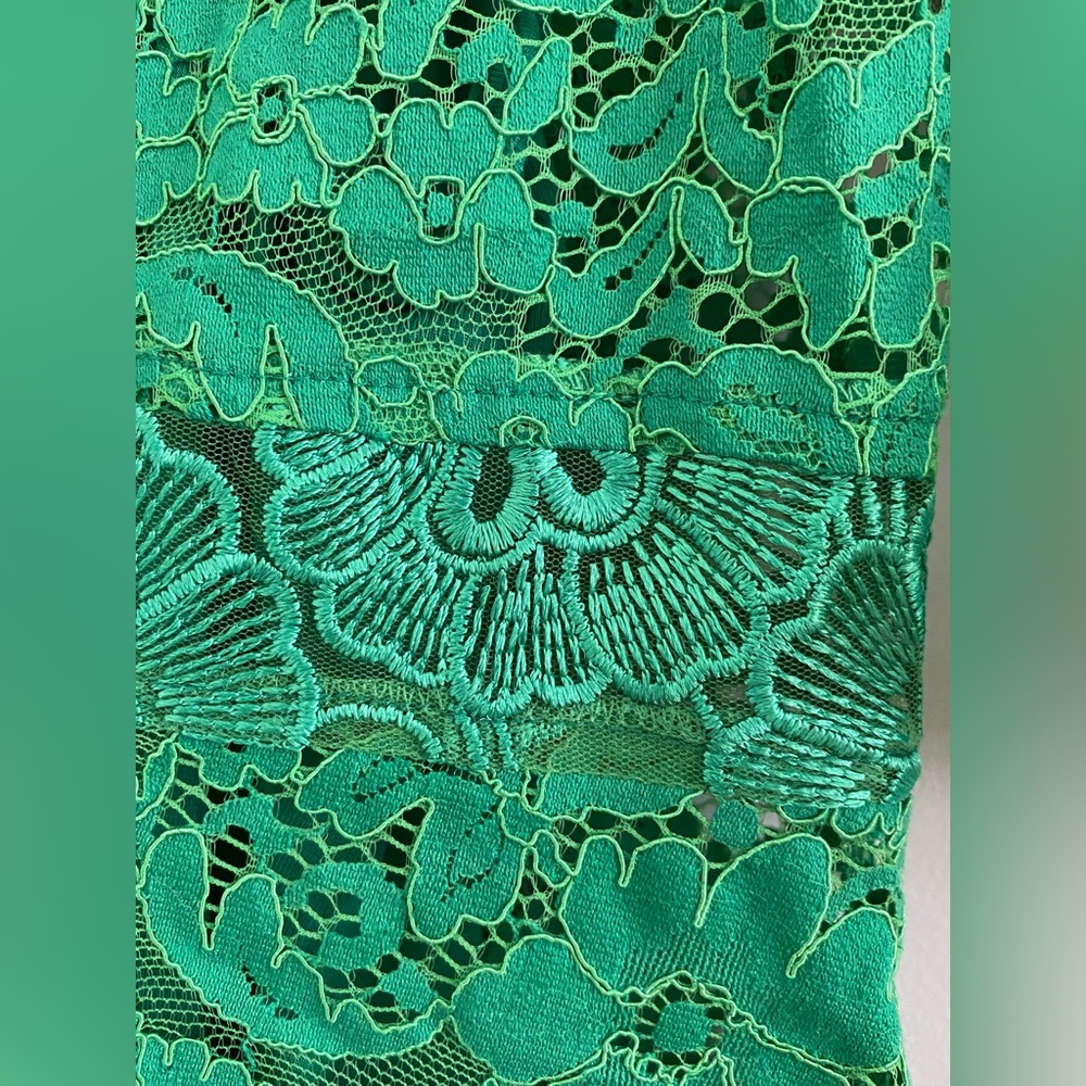 Plenty by Tracey Reese for Anthropologie Angelica Lace Midi dress - Picture 6 of 12